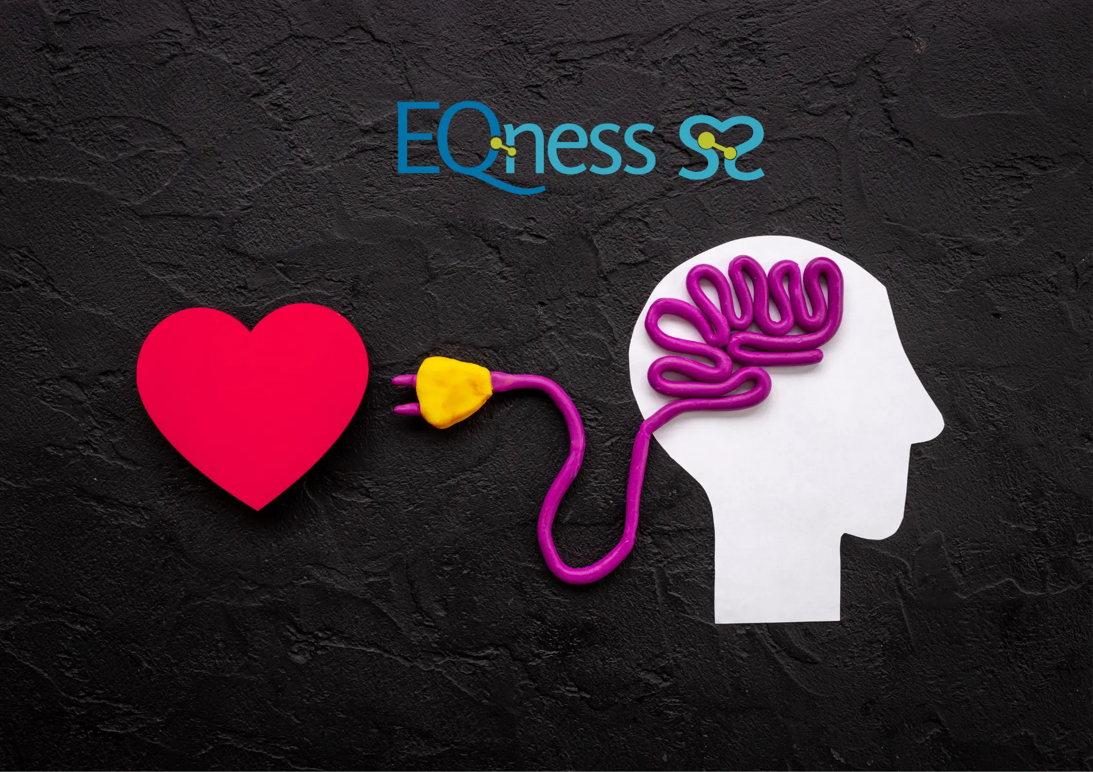 Illustration of a red heart connected by a cord to a brain inside a head silhouette, symbolising the connection between stress, brain, and cardiovascular health. EQness logo displayed above.